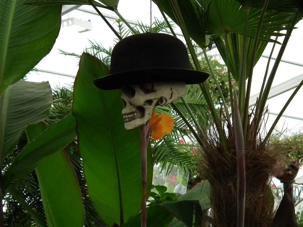 Floral marquee in the long water area 35